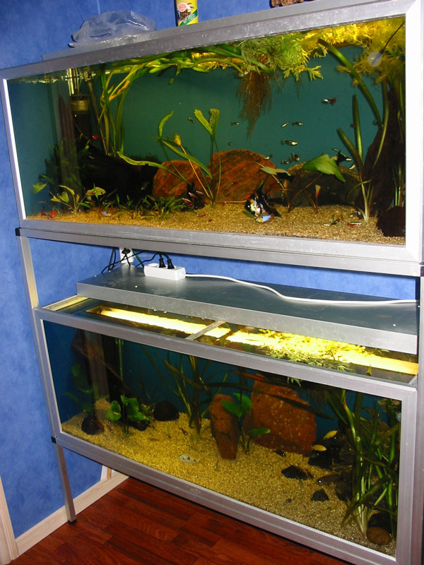 Aquarium Racks