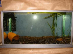 Here the tank is filled and planted with a single plant.

