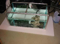 Here you see the tank just af the obligatory water-tightness testing was started