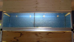 Here you can see the blue filter mat mounted with 4 air-lift tubes.
