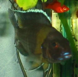 Another semi-boring picture...
