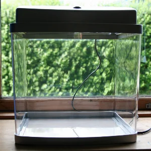 My latest aquarium - a 19-liter acrylic aquarium with a full-coverage lamp.